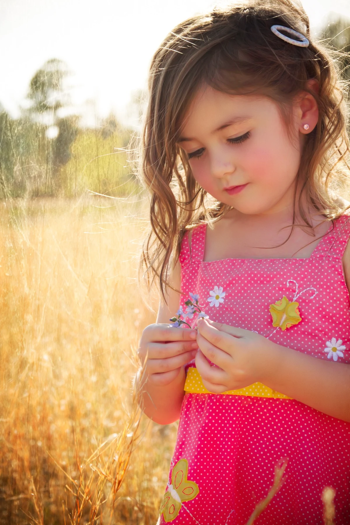 Warm backlit outdoor portrait of a child in a field holding a small flower