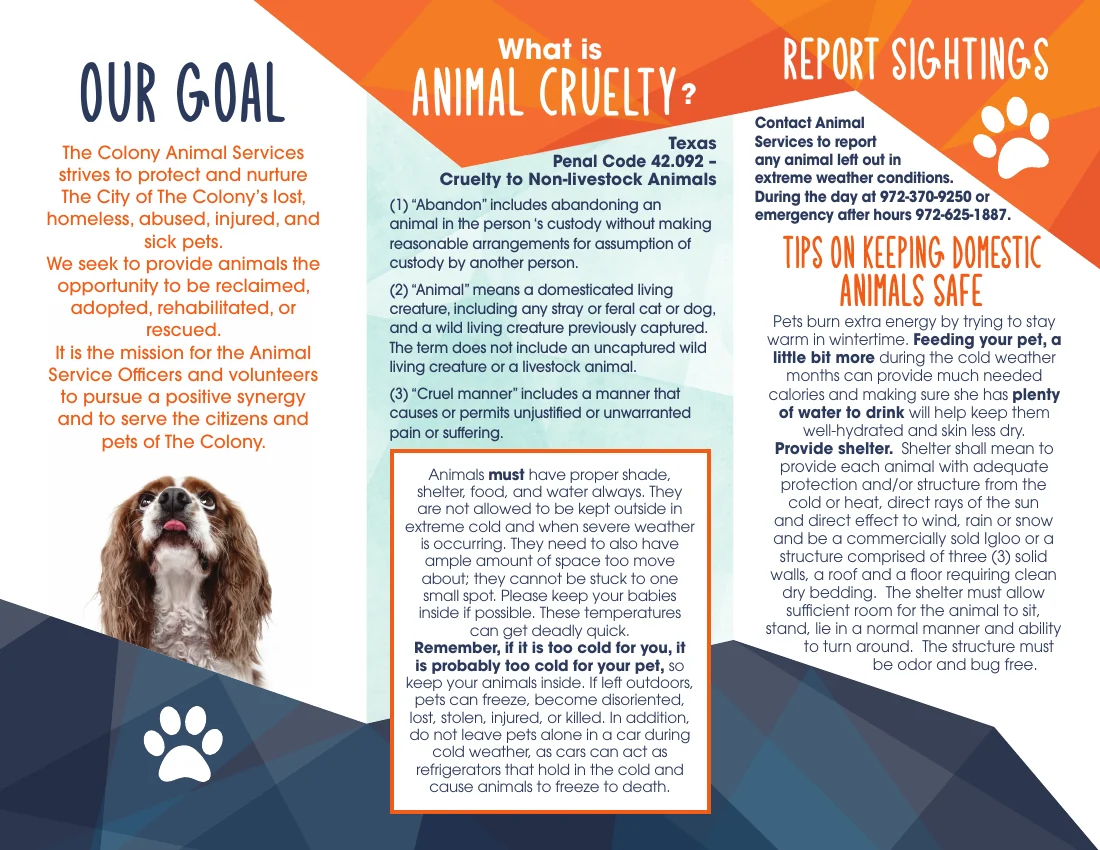 Cold weather animal safety brochure