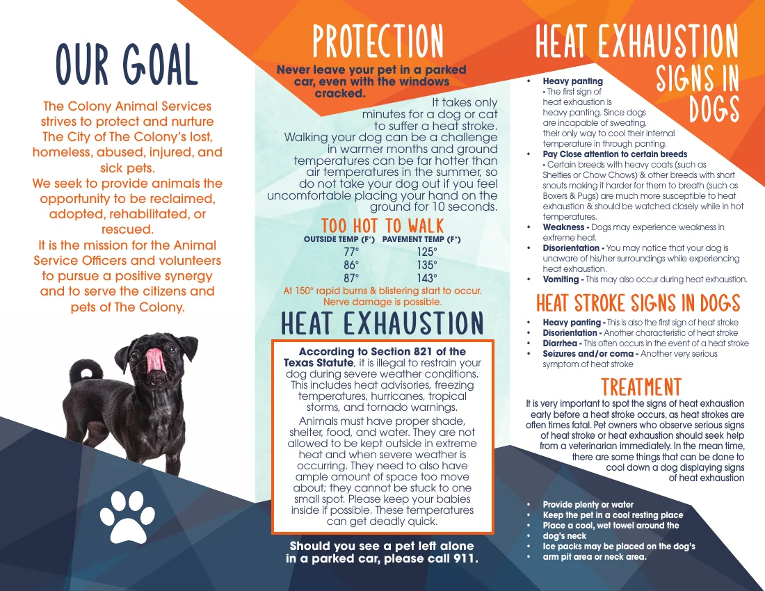 Hot weather animal safety brochure