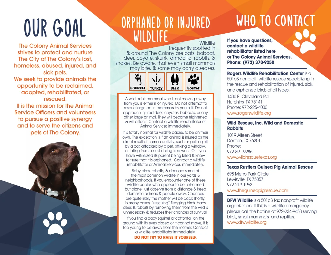 Wildlife and rescue resources brochure