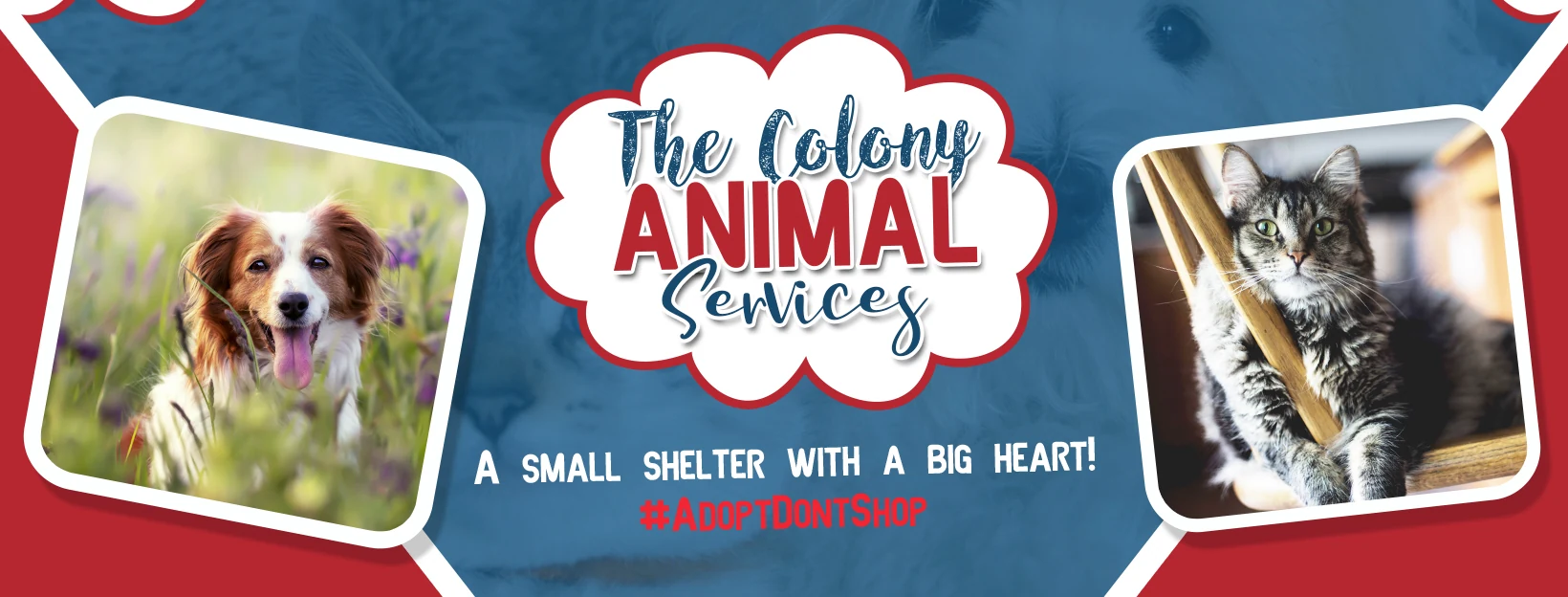 The Colony Animal Services campaign banner featuring the refreshed brand identity