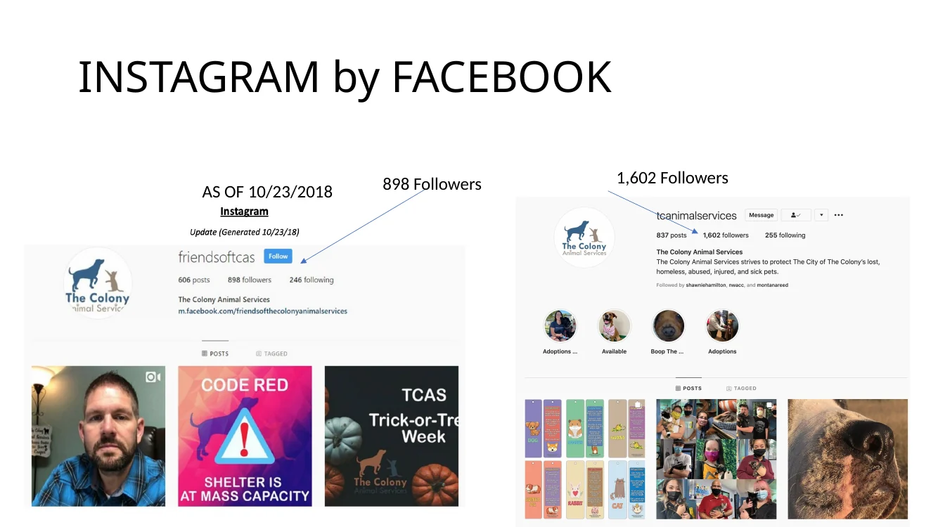 Instagram follower growth presentation